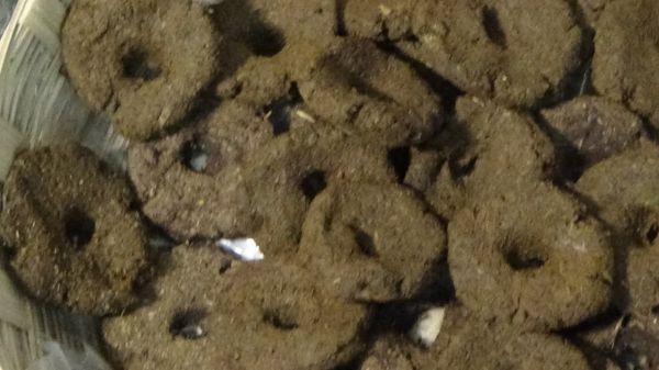 சாணி கொள்முதல் 