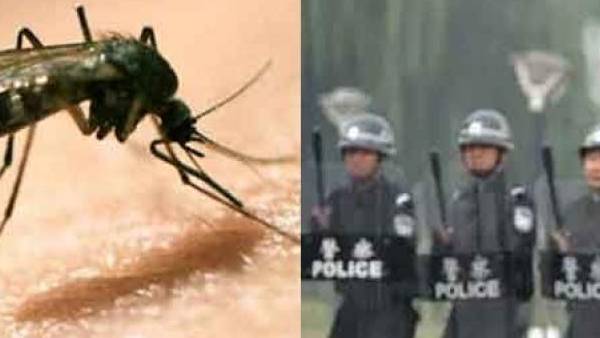 சமைத்து சாப்பிட்ட திருடன் சமைத்து சாப்பிட்ட திருடன்