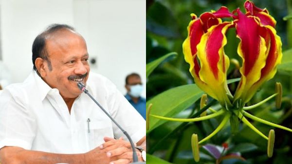 பல மாவட்டங்களில் 