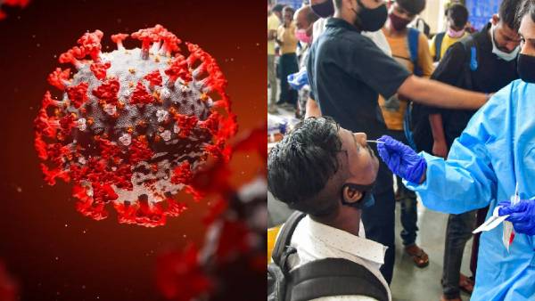 மூளையின் திசுக்களில் பாதிப்பை ஏற்படுத்தும்? 