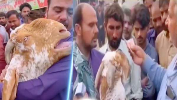  கட்டிப்பிடித்து அழுதது