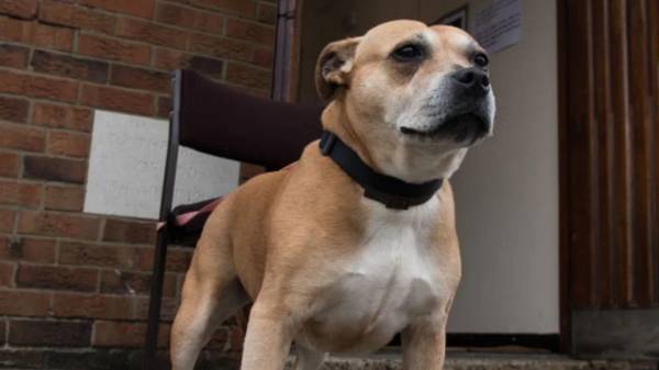  என்ன நடந்தது