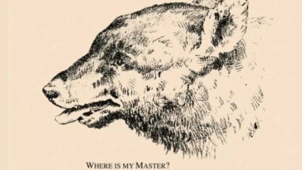 போட்டோ போட்டோ