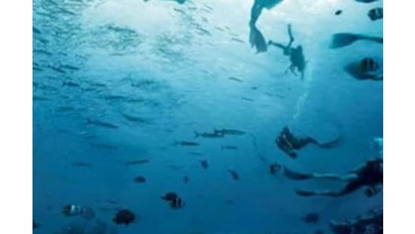  சற்று வித்தியாசமானது