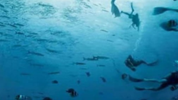  முதலில் என்ன தெரிகிறது?