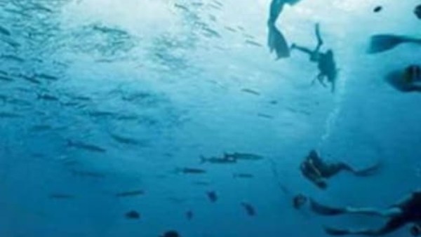  அலசி ஆராய்வீர்கள்