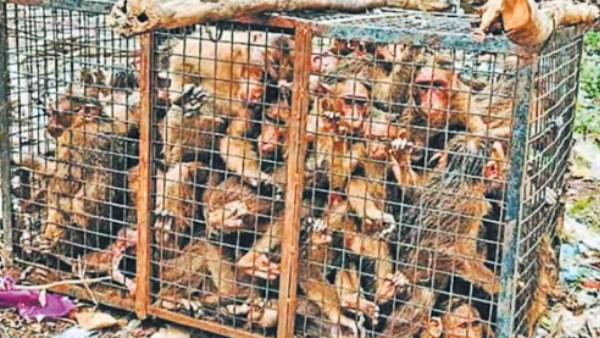  வதந்தி - முற்றுப்புள்ளி