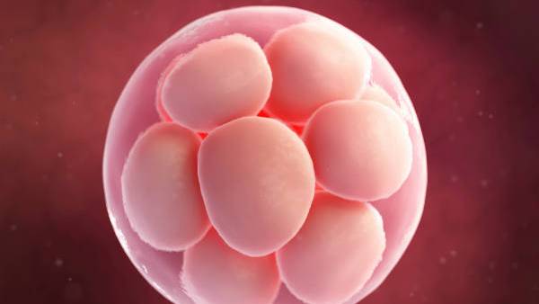 குழந்தை உரிமைகள் பாதுகாப்பு ஆணையம் விசாரணை 