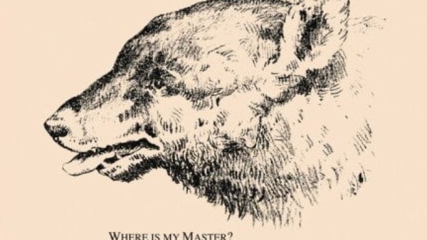 இமேஜ் இமேஜ்