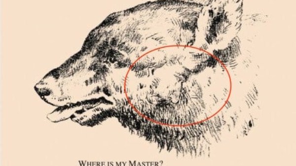 சாய்வாக உள்ளது சாய்வாக உள்ளது