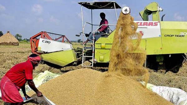 குறுவை சாகுபடி 