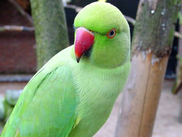 போஸ்டர் ஒட்டி தேடல் போஸ்டர் ஒட்டி தேடல்