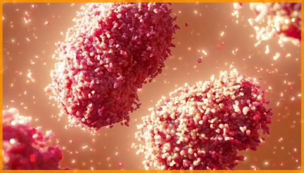 கொத்து கொத்தாக பாதிப்பு ஏற்பட்டால் கொத்து கொத்தாக பாதிப்பு ஏற்பட்டால்