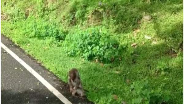 நெகிழ்ச்சி 