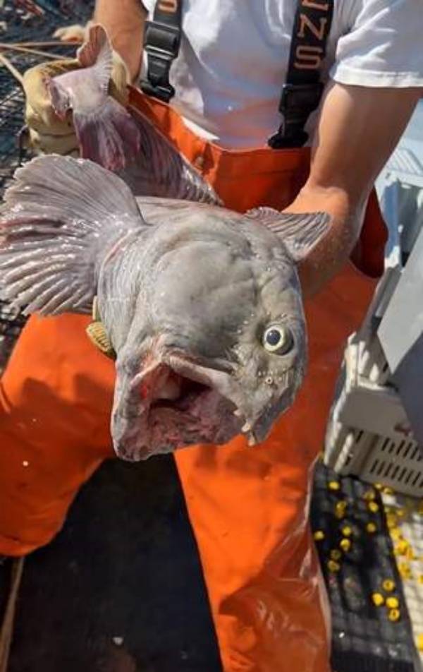  சிக்கியது 