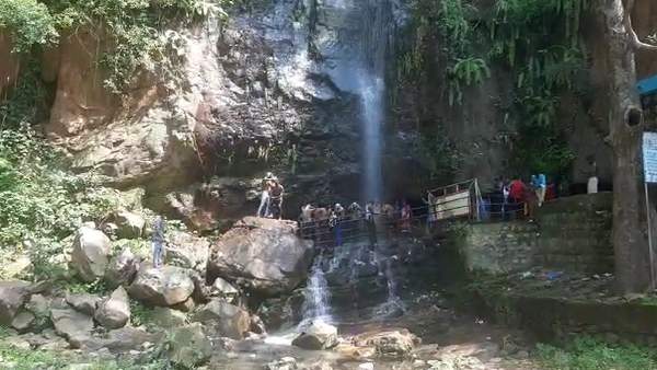 போலீஸார் தேடல் 