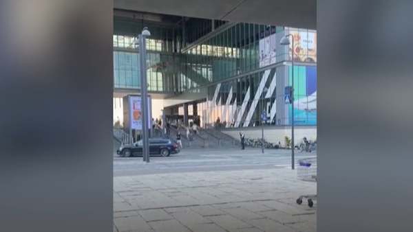 சடலங்கள் சடலங்கள்