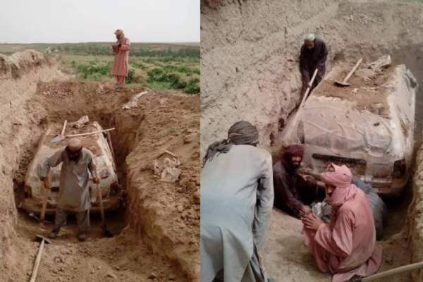 தோட்டத்தில் கார் தோட்டத்தில் கார்