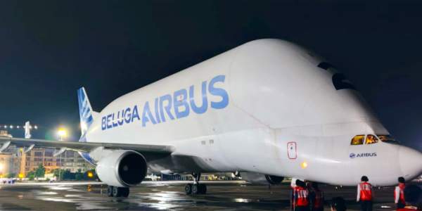 திமிங்கலம் 