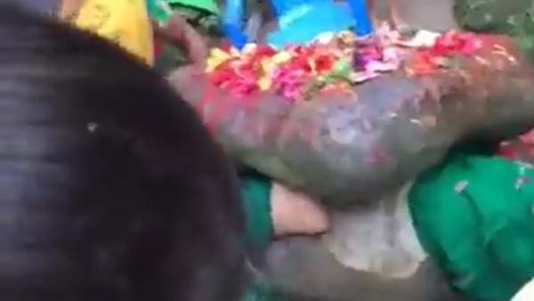 டிரெண்டு