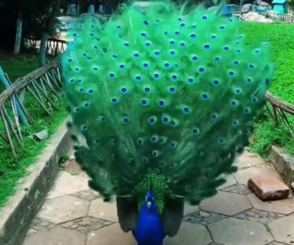 கனவா? இல்லை நிஜம்தானா? கனவா? இல்லை நிஜம்தானா?