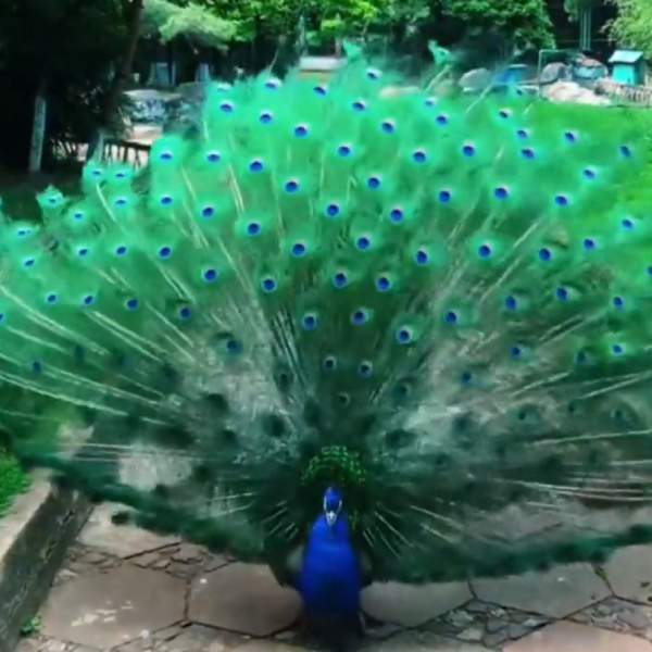 நெட்டிசன்களின் கருத்து நெட்டிசன்களின் கருத்து