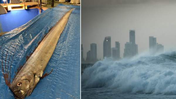  நிலநடுக்கம் ஏற்படுமா?