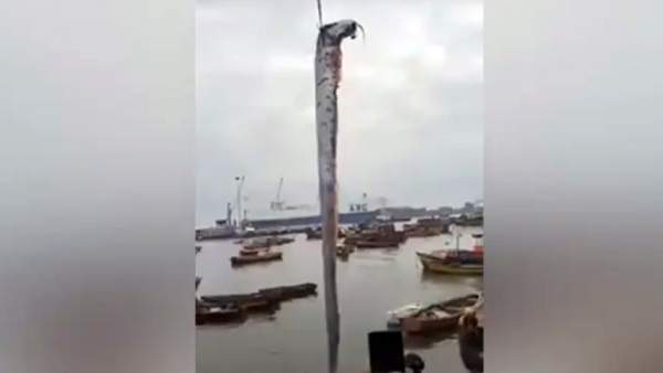  டெக்டானிக் பிளேட்களின் அசைவு காரணமாக