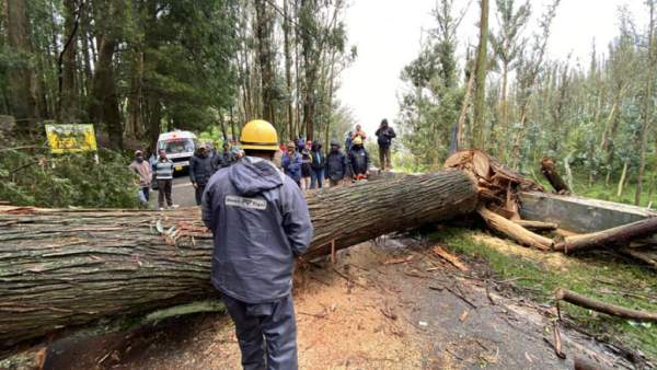 160 வீரர்கள் 