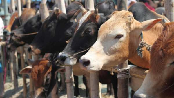 ஏன் இந்த திட்டம்? 