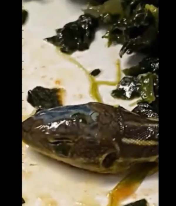  ஒருமுறைகூட புகார் இல்லை