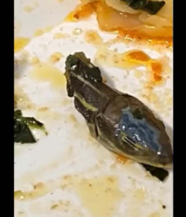 சன் எக்ஸ்பிரஸ் விளக்கம் 