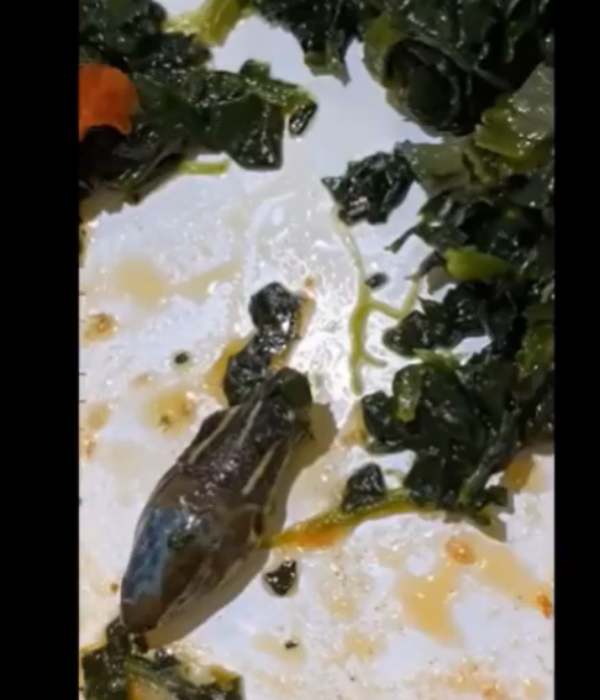 ஒப்பந்தம் ரத்து 