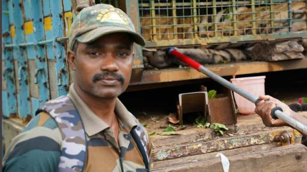 வனத்துறை அதிகாரிகள் 