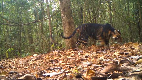 ஏன் இப்படி? 