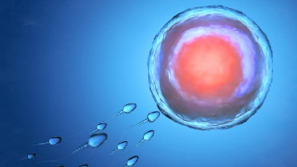 3 மாவட்டங்களில் விசாரணை 3 மாவட்டங்களில் விசாரணை