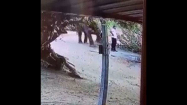  வழித்தடங்கள்