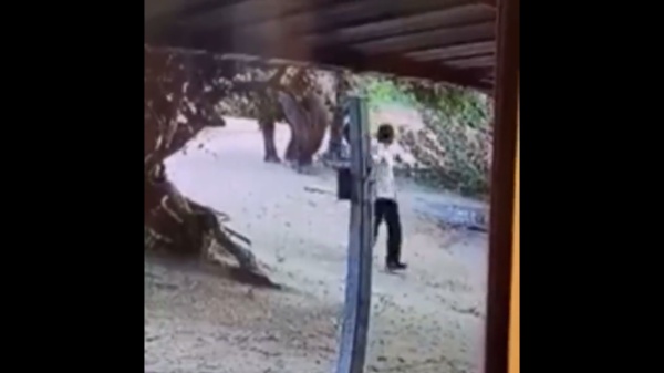  ஹலோ மேன் தள்ளிப்போ