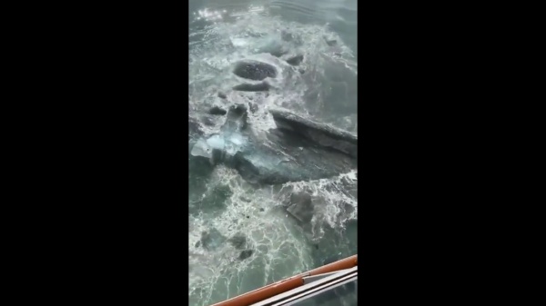 துளைத்தது துளைத்தது