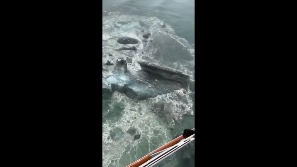 என்ன நடந்தது என்ன நடந்தது