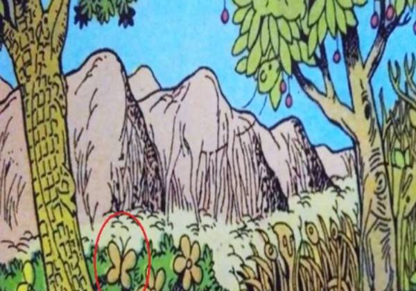 6 வினாடிகள் 