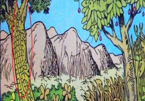 17 சதவீதம் 