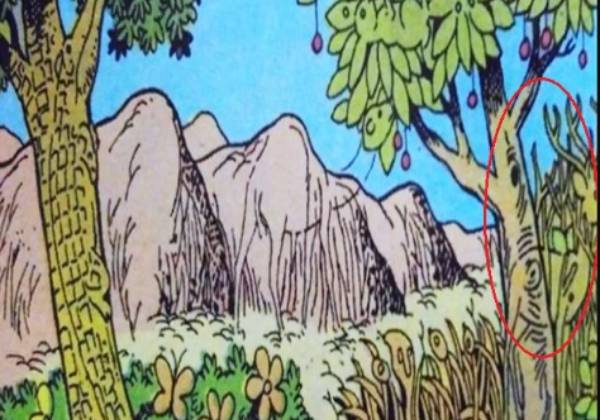 கூர்ந்து கவனித்தல் 