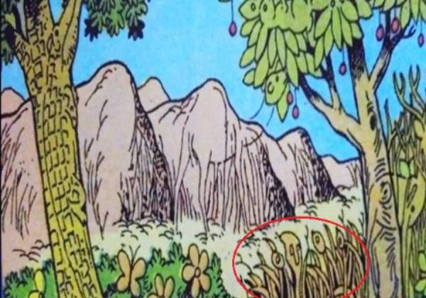 6 விலங்குகள் இதோ 