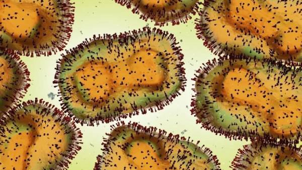 உடலுறவு உடலுறவு