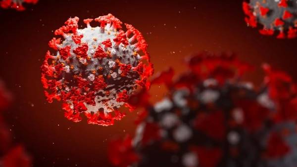 10 மாநிலங்களில் பரவல் 10 மாநிலங்களில் பரவல்