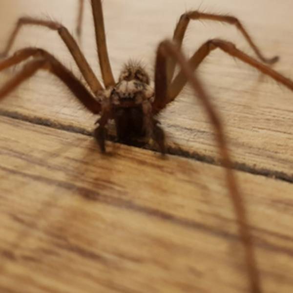 தேவையற்ற அழைப்புகள் தேவையற்ற அழைப்புகள்