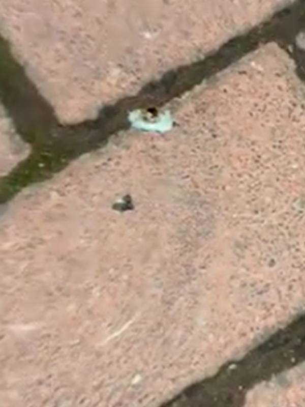 விலை கொஞ்சம் அதிகம்