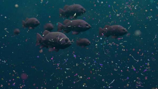  தனித்துவமானது