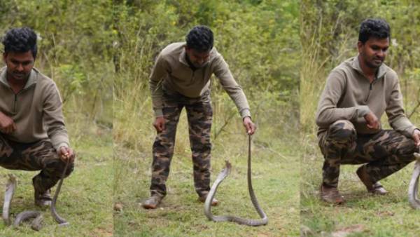 பாம்புக்கடி